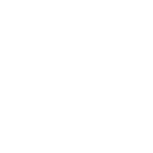 Ants
