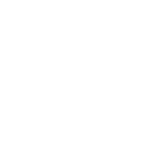 House Fly