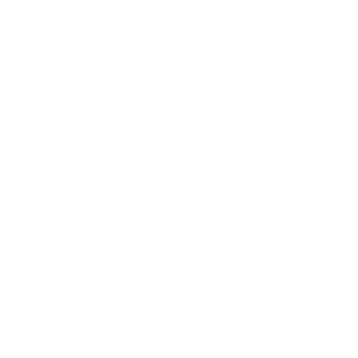 Flies