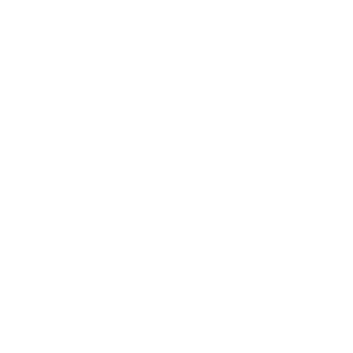 Lady Bug