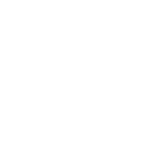 Mosquito