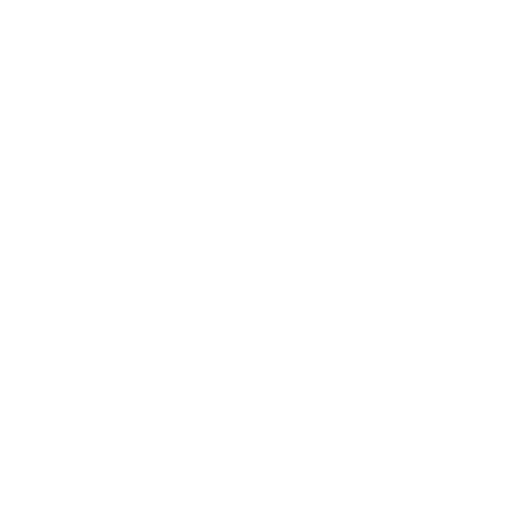 Bed Bugs