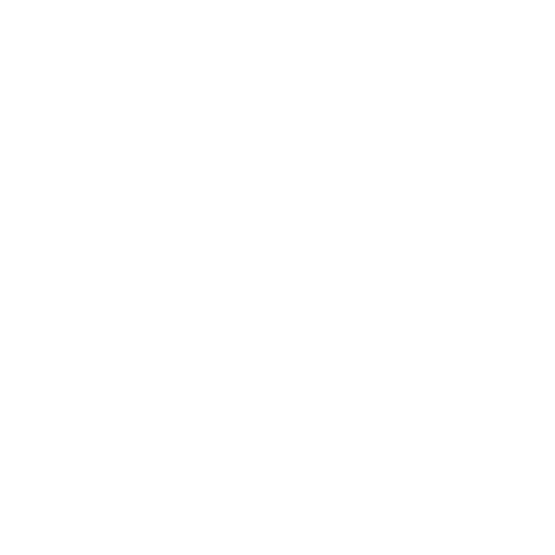Norway Rats