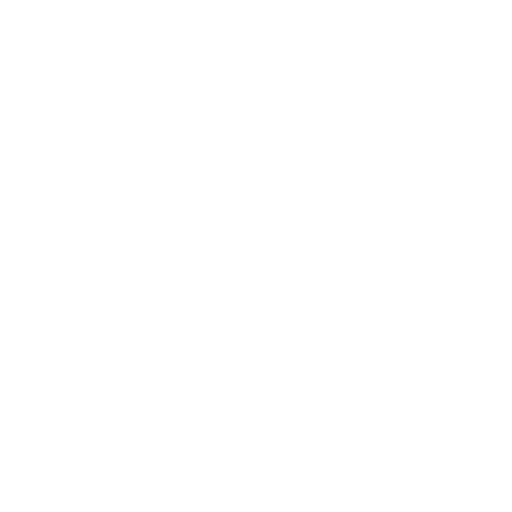 Spiders