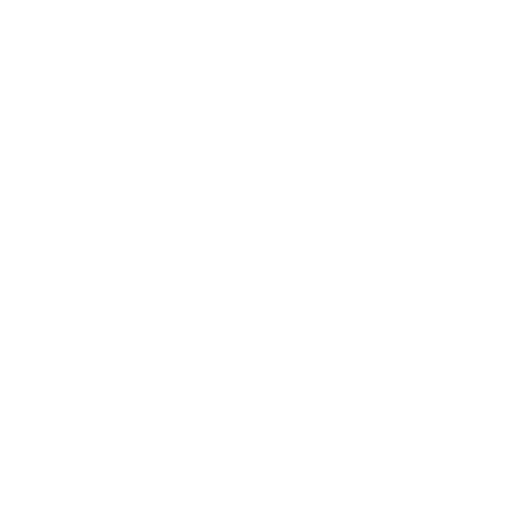Squirrel Removal