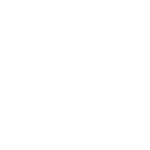 Opossum Removal