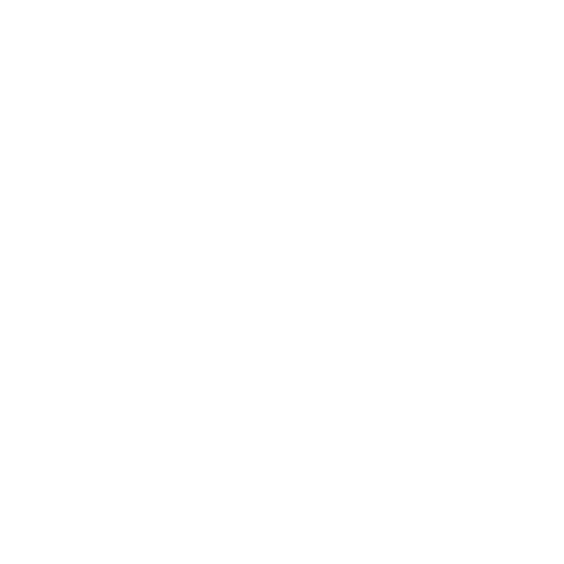Beetle