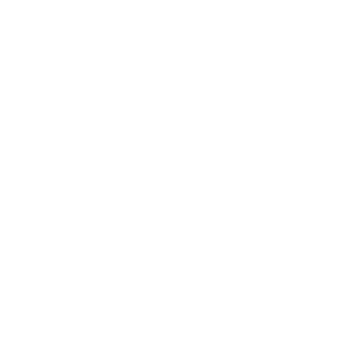 Carpenter Bee