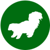 Skunk