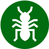 ant